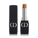 Rouge Dior Forever Lipstick - N 210