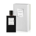 Moonlight Patchouli Eau De Parfum - 75ml - Unisex