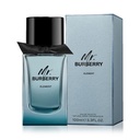 Mr Burberry Element Eau de Toilette - 100ml - Men