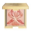 L'Orchidee Highlighter Blush - Coral