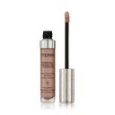 Terrybly Densiliss Concealer - N 5 - Desert Beige