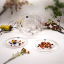 Diva Clear Lined Rim Plate - 22cm